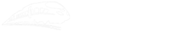 ϷпкƼg(sh)޹˾